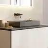 Image de hansgrohe Xuniva Evo E Vasque à poser, 60326760,