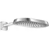 Image de AXOR ShowerSphere Douche de tête, 1 jet, 39748000,