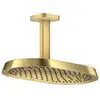 Image de AXOR ShowerSphere Douche de tête, 1 jet, 39760990,