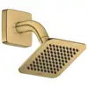 Image de AXOR Citterio C Douche de tête, 1 jet, 28810250,