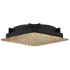 Image de AXOR Citterio C Douche de tête, 1 jet, 28815140,