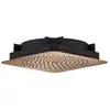 Image de AXOR Citterio C Douche de tête, 1 jet, 28814300,