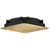 Image de AXOR Citterio C Douche de tête, 1 jet, 28815250,