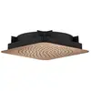 Image de AXOR Citterio C Douche de tête, 1 jet, 28815310,