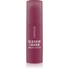 Image de Catrice Blushin' Charm Multi Stick blush et enlumineur en stick teinte 030 Ruby Darling 5.5 g
