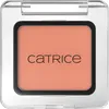 Image de Catrice - Art Couleurs Fard à paupières 2 g Marron clair unisex