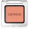Image de Catrice Art Couleurs fard à paupières teinte 480 Apricot Touch 2 g