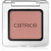 Image de Catrice Art Couleurs fard à paupières teinte 490 Muted Bloom 2 g