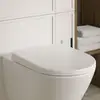 Image de Villeroy & Boch Somera Abattant de WC, 8M07S1R7,