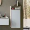 Image de Duravit Zencha Meuble suspendu, 1 porte, ZE1351L64830000,