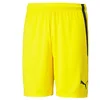 Image de PUMA Short Team Liga