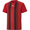 Image de PUMA teamLIGA Striped Jersey Jr
