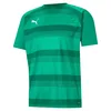 Image de PUMA Teamvision Jersey Jr Tricot Mixte bébé, Vert Poivre, 12 Ans