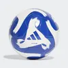 Image de Ballon Tiro Club 5 EAV21