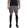 Image de PUMA Short d'entraînement en Tricot pour Homme