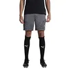 Image de Puma Short d'entraînement Teamcup - Short en Tricot pour Homme