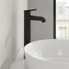 Image de Villeroy & Boch Skyla Mitigeur de lavabo à bec haut, TVW116003000K5,