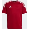 Image de Maillot Campeon 23 7-8A EWT65