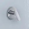 Image de Duravit Wave Mitigeur monocommande de douche encastré, WA4210007010,