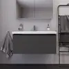 Image de Duravit D-Neo Meuble sous-vasque, 1 tiroir, DE42560BD490000, DE425604949