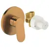 Image de Duravit Wave Mitigeur monocommande de douche encastré, WA4210007004,