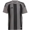 Image de adidas Unisex Kinder Striped 24 Jersey Kids, Team Grey Four/Black, 15-16 Years