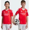 Image de Maillot Domicile Benfica 24/25 Enfants 11-12A MRG64