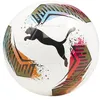 Image de PUMA Futsal 3 MS