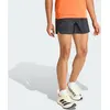 Image de Short Terrex Xperior CLIMA365 L 13 CM FRA32