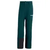 Image de Adidas Homme Terrex Multi 2 Layer Climaproof Insulated Pants, Aurora Ivy, L-XL
