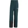 Image de Adidas Homme Terrex Multi 2 Layer Climaproof Insulated Pants, Aurora Ivy, S-MT