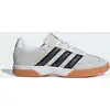 Image de Chaussure Spezialist Indoor 43 1/3 NRX34