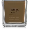 Image de ipuro Essentials Cedar Wood bougie parfumée 125 g