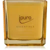Image de ipuro Essentials Soft Vanilla bougie parfumée 125 g