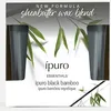Image de ipuro Essentials Bougie parfumée BLACK BAMBOO 125 g