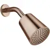 Image de Dornbracht Lissé Douche de tête, 1 jet, 28504979-42,