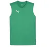 Image de PUMA teamFINAL Training Jersey SL, Tee Adultes Unisexes, Sport Green-PUMA Silver,