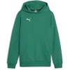 Image de Puma Garçon Teamgoal Casuals Sweat À Capuche Jr Pull, Vert Sport/Blanc Puma, 164 EU
