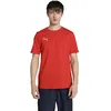 Image de Puma Homme Teamgoal Casuals Tee, Teamgoal/Puma Red-Puma White, L EU