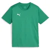 Image de PUMA Teamfinal Maillot d'entraînement Jr T-Shirt Performance, Vert Sport Argent, 140 Mixte