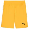 Image de Puma teamGOAL Shorts, Short en Maille Adultes Unisexes, Sun Stream-Puma Black, 705752