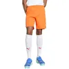 Image de Puma teamGOAL Shorts, Short en Maille Adultes Unisexes, Rickie Orange-Puma White, 705752