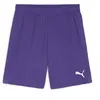 Image de Puma teamGOAL Shorts, Short en Maille Adultes Unisexes, Team Violet-Puma White, 705752