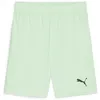Image de PUMA Mixte Teamgoal Jr Short Tricoté, Menthe Fraîche, Noir Puma, 140 EU