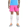 Image de Puma teamGOAL Shorts, Short en Maille Adultes Unisexes, Fluro Pink PES-Puma Black, 705752