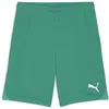Image de Puma teamGOAL Shorts, Short en Maille Adultes Unisexes, Sport Green-Puma White, 705752