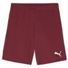 Image de Puma teamGOAL Shorts, Short en Maille Adultes Unisexes, Team Regal Red-Puma White, 705752