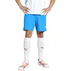 Image de PUMA teamGOAL Shorts, Short en Maille Adultes Unisexes, Ignite Blue-PUMA White, 705752