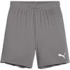 Image de PUMA Adultes Unisexes Teamgoal Jr Short en Maille, Cast Iron-puma White, 164 EU