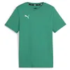 Image de Puma Mixte Teamgoal Casuals Jr Tee, Vert Sport/Blanc Puma, 140 EU